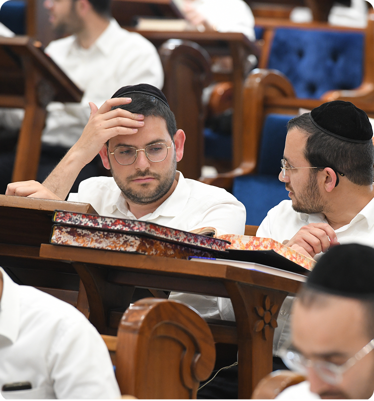 הרב דוד לוין שליט"א